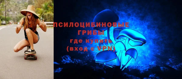 ГАЛЛЮЦИНОГЕННЫЕ ГРИБЫ Белокуриха