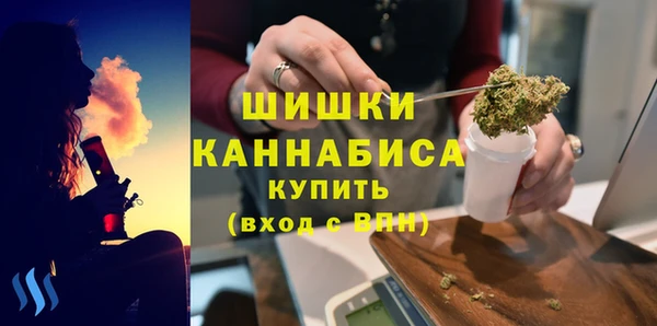ГАЛЛЮЦИНОГЕННЫЕ ГРИБЫ Белокуриха