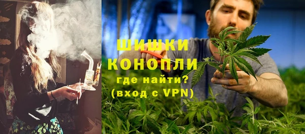 ГАЛЛЮЦИНОГЕННЫЕ ГРИБЫ Белокуриха
