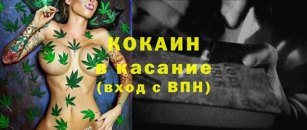 ГАЛЛЮЦИНОГЕННЫЕ ГРИБЫ Белокуриха