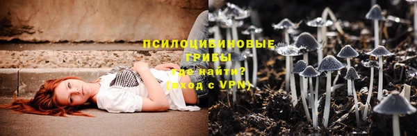 ГАЛЛЮЦИНОГЕННЫЕ ГРИБЫ Белокуриха