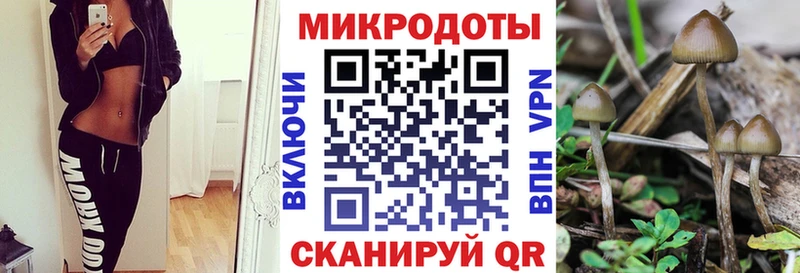 Псилоцибиновые грибы прущие грибы Волчанск